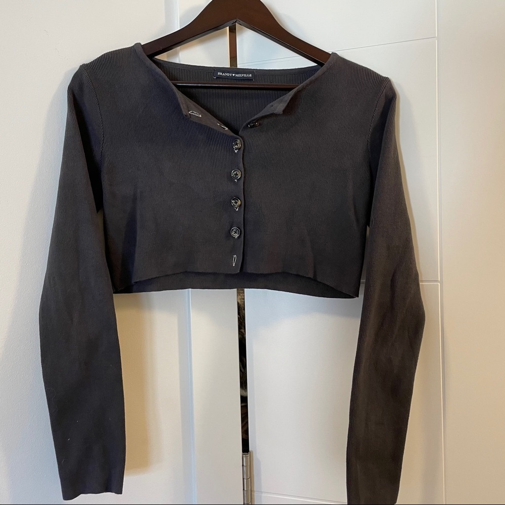 brandy melville  crop long sleeve